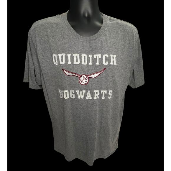 Harry Potter Embroidered Hogwarts Quidditch T-Shirt - XL - Gray- Wizarding World - Picture 1 of 12